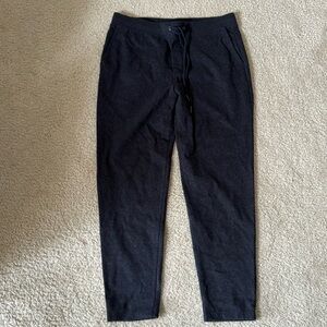 Men Express medium Jogger